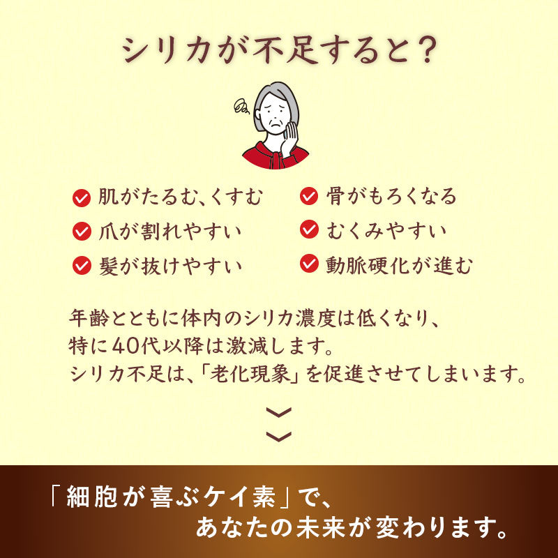 究極の生シリカ（3個セット）　『純粉末』※体感出来るシリカ※