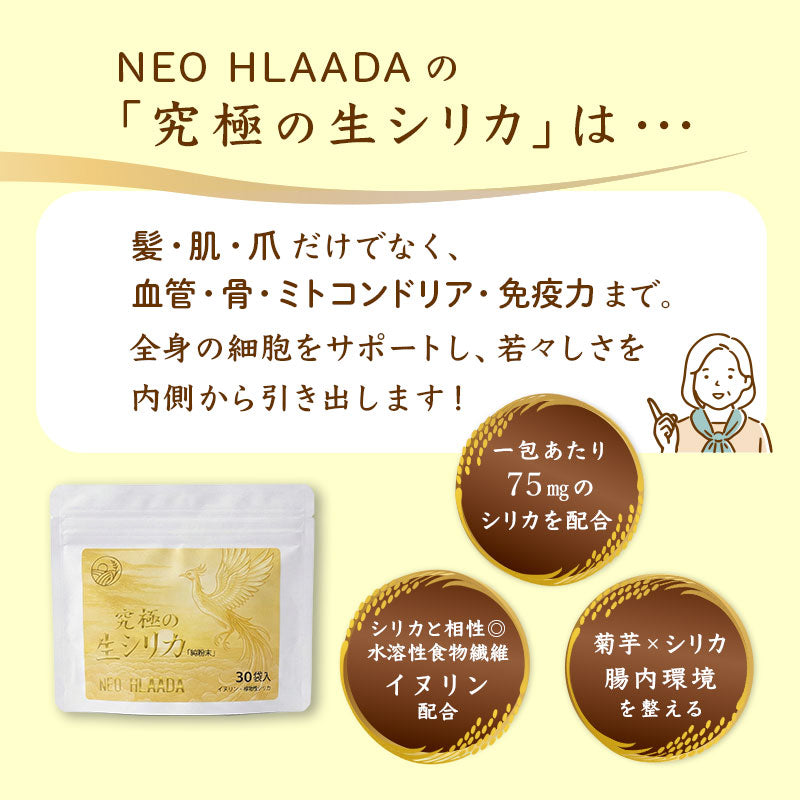 究極の生シリカ（3個セット）　『純粉末』※体感出来るシリカ※