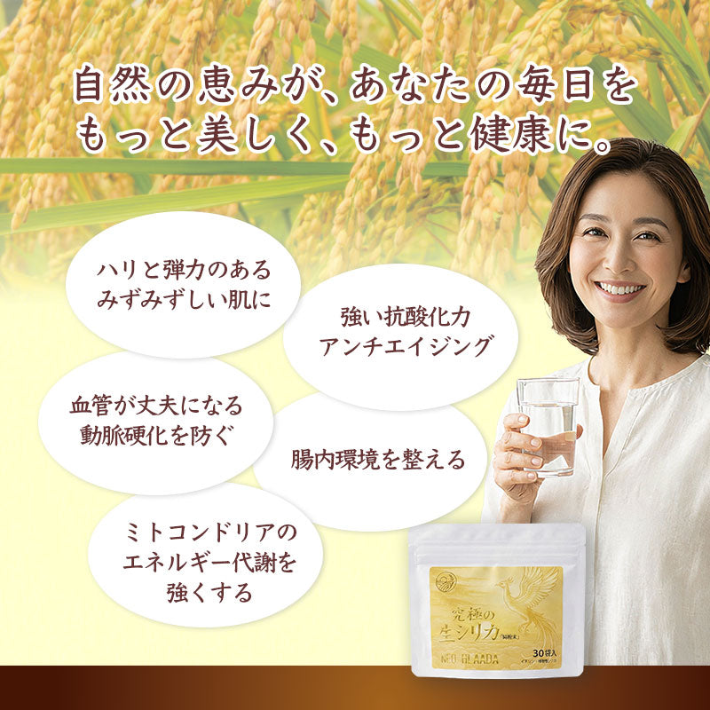 究極の生シリカ（3個セット）　『純粉末』※体感出来るシリカ※